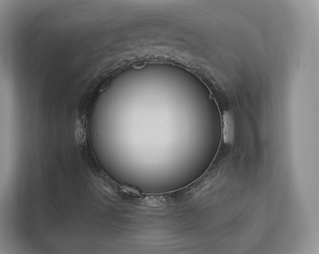 X0000112911491200908241155