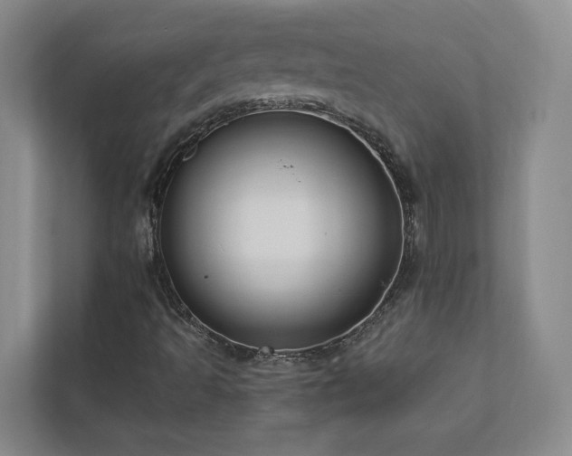 X0000112911493200908241155