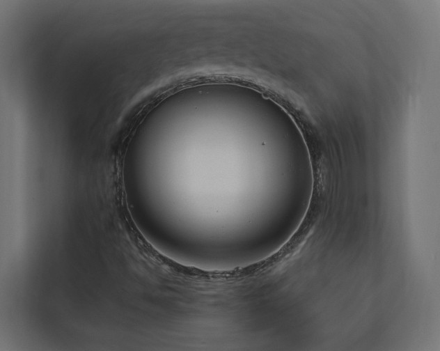 X0000112911494200908241155