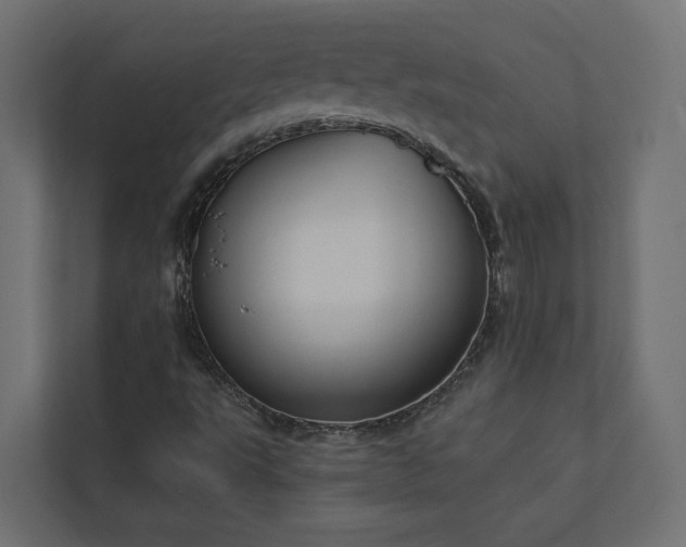 X0000112911495200908241155