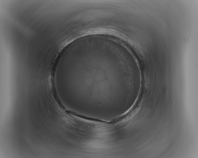 X0000112911497200908241155