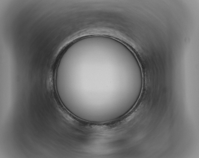 X0000112911498200908241155