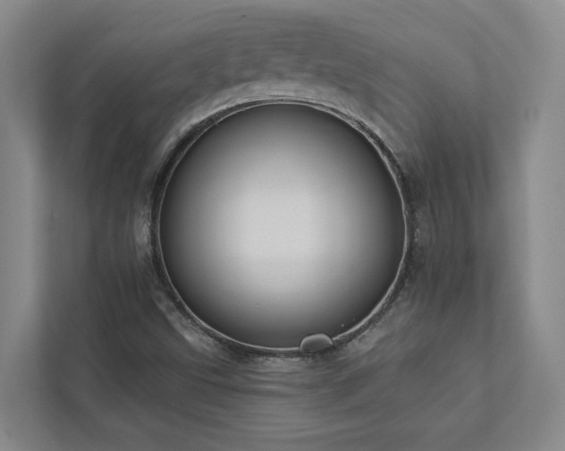 X0000112911499200908241155
