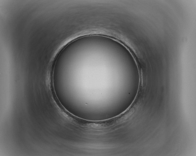 X0000112911500200908241155