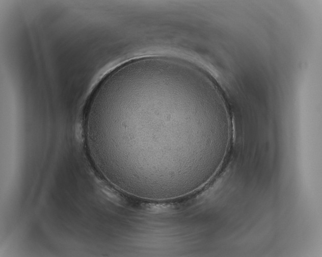 X0000112911501200908241155