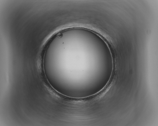 X0000112911502200908241155