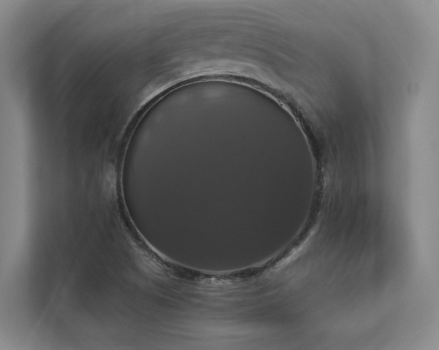 X0000112911505200908241155
