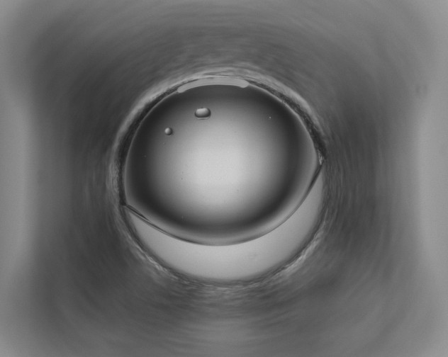 X0000112911506200908241155