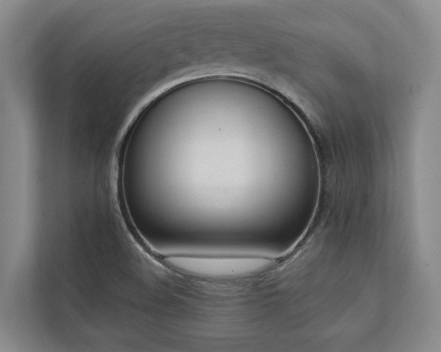 X0000112911508200908241155