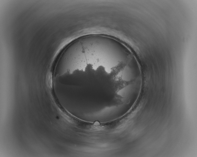 X0000112911509200908241155