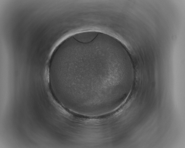 X0000112911510200908241155