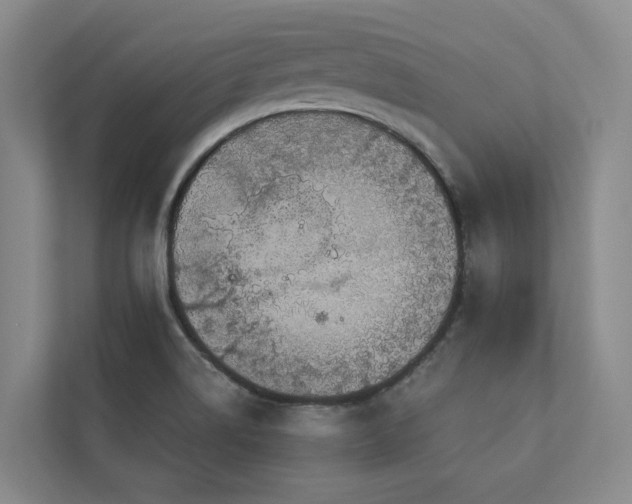 X0000112911514200908241155