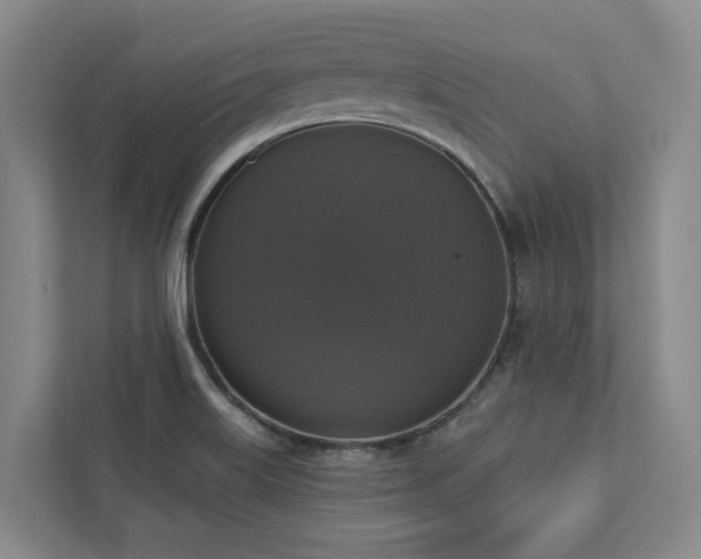 X0000112911515200908241155
