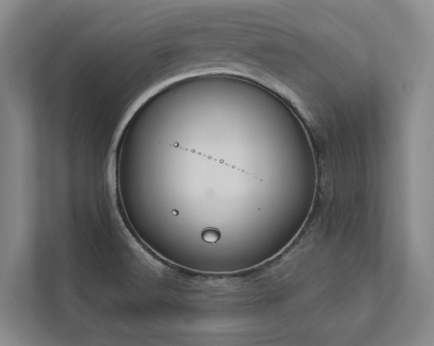 X0000112911516200908241155