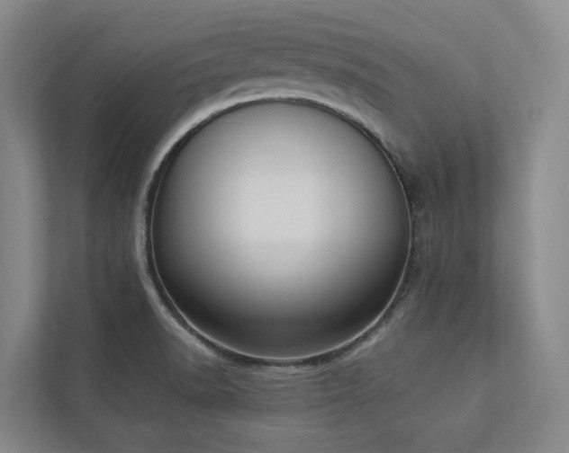 X0000112911518200908241155