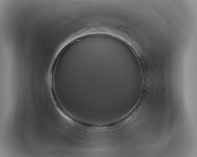X0000112911519200908241155