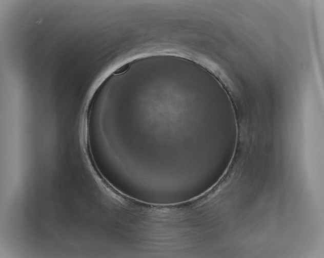 X0000112911520200908241155