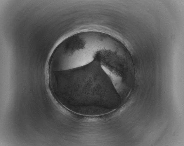 X0000112911522200908241155