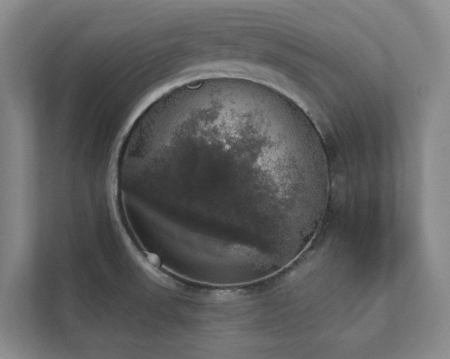 X0000112911523200908241155