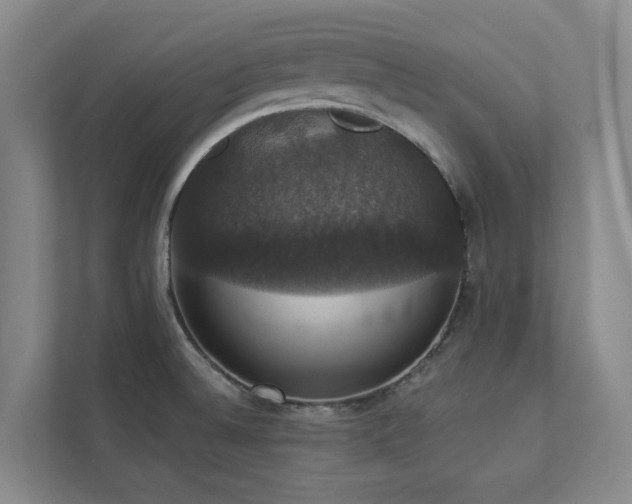 X0000112911524200908241155
