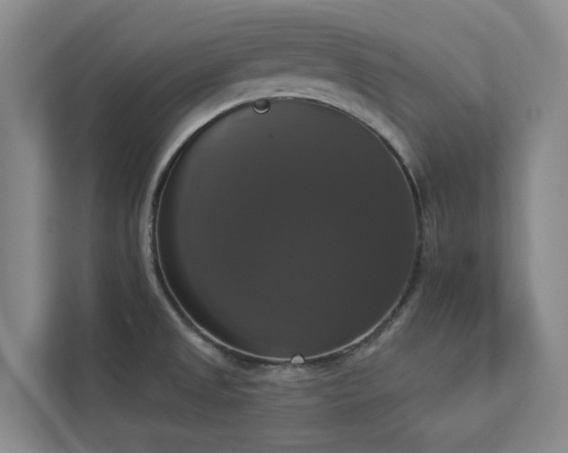 X0000112911525200908241155