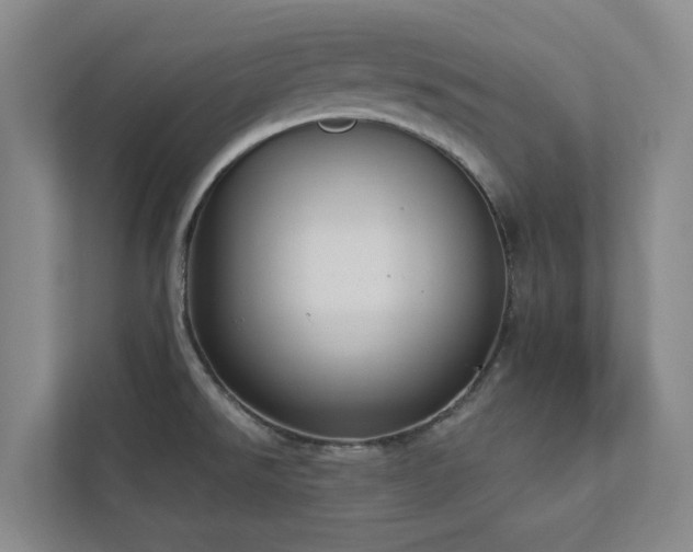X0000112911526200908241155