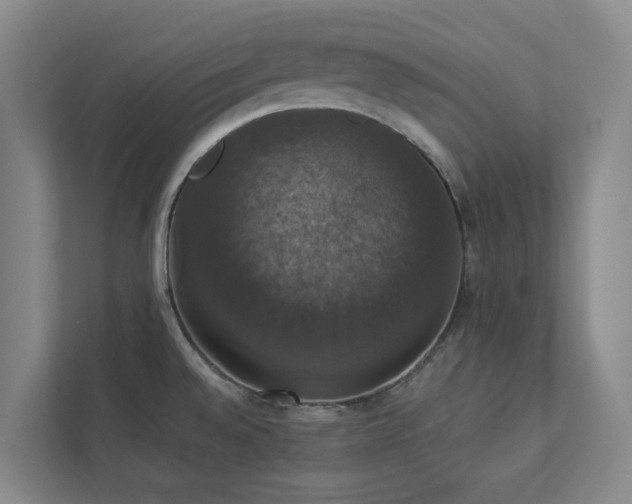 X0000112911528200908241155
