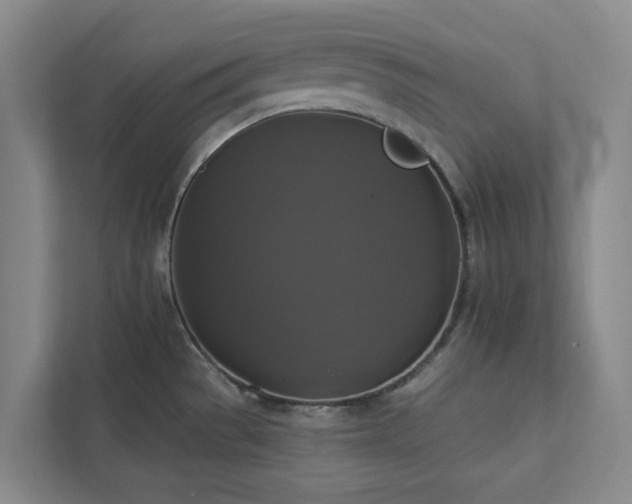 X0000112911529200908241155