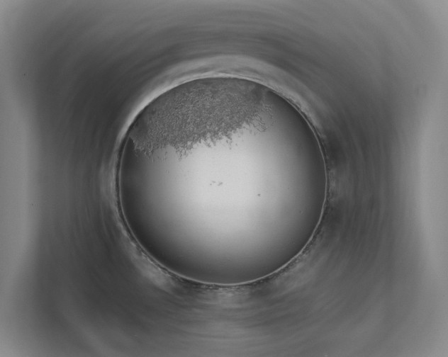 X0000112911530200908241155