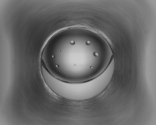 X0000112911532200908241155