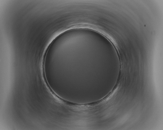 X0000112911533200908241155
