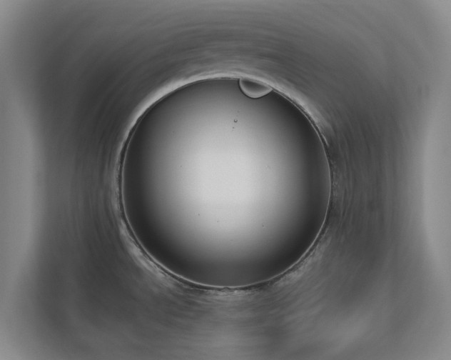 X0000112911534200908241155