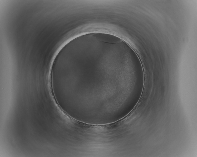 X0000112911536200908241155