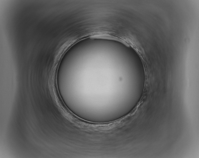 X0000112910001200908311246