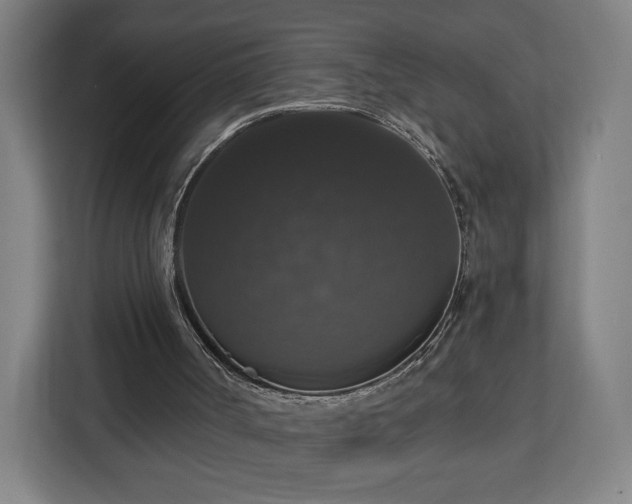 X0000112910002200908311246