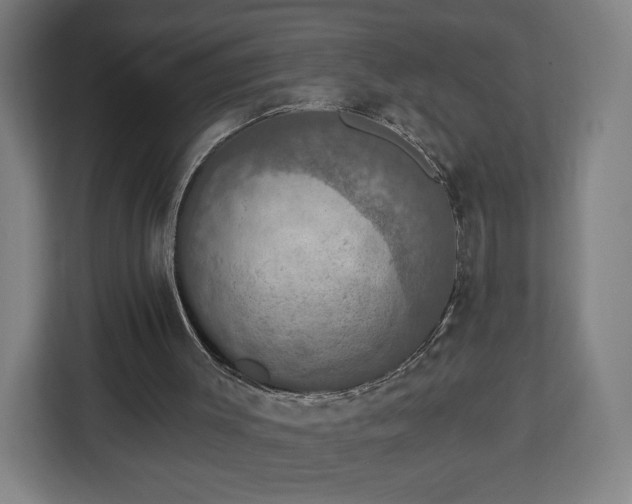 X0000112910003200908311246