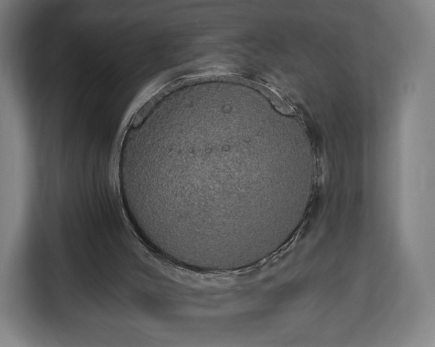 X0000112910004200908311246