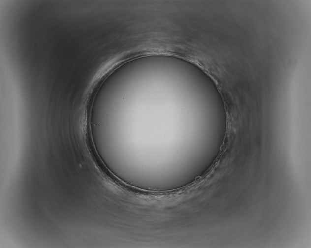 X0000112910005200908311246