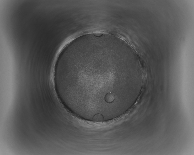 X0000112910006200908311246