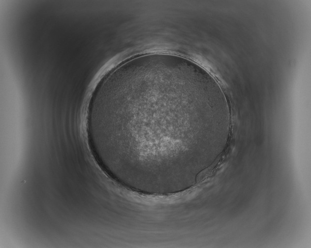 X0000112910007200908311246