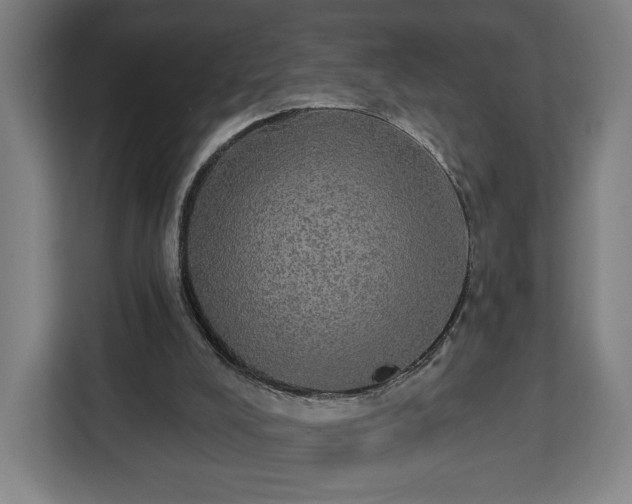 X0000112910008200908311246