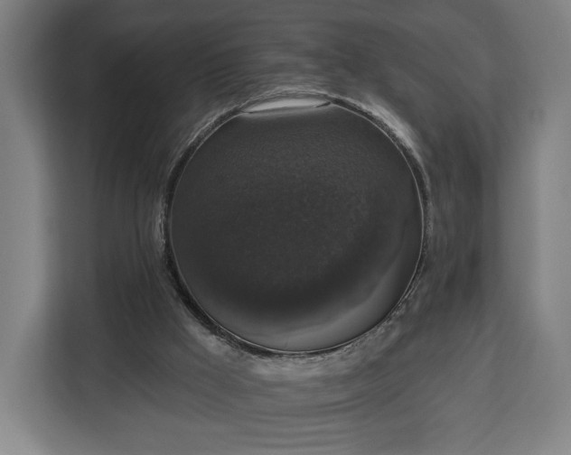 X0000112910009200908311246