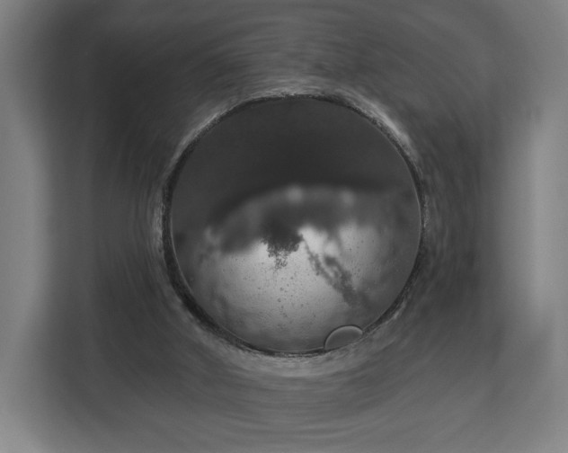 X0000112910010200908311246