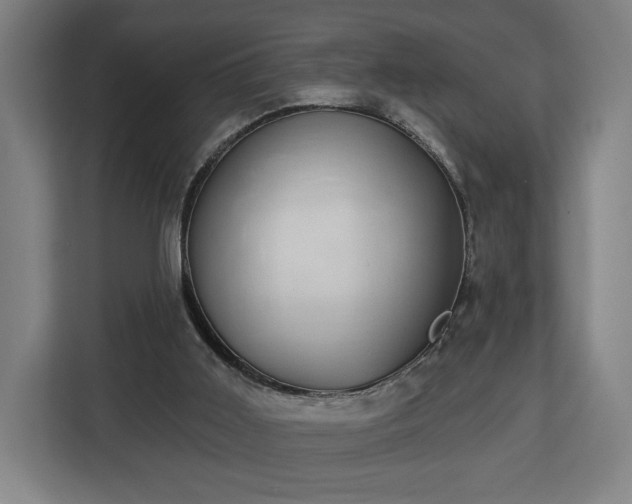 X0000112910011200908311246