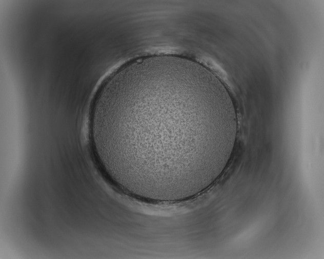 X0000112910012200908311246