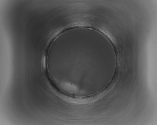 X0000112910014200908311246