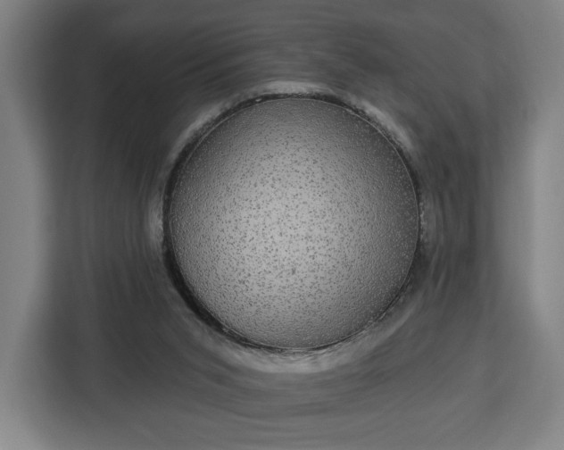 X0000112910015200908311246