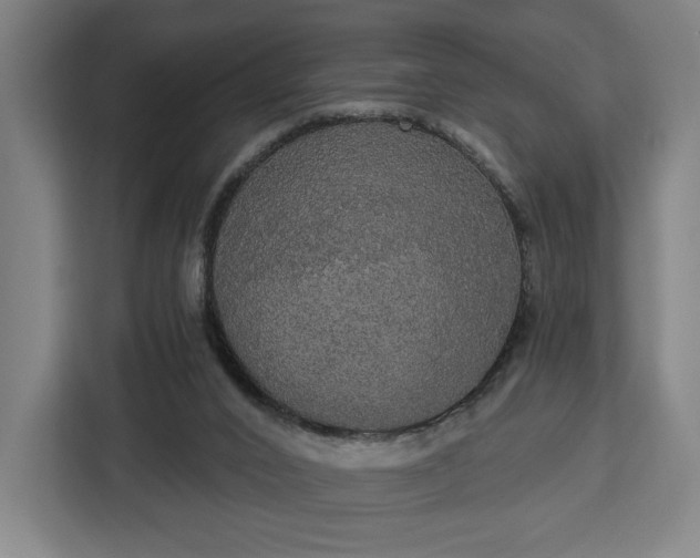 X0000112910016200908311246