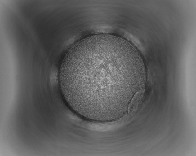 X0000112910017200908311246