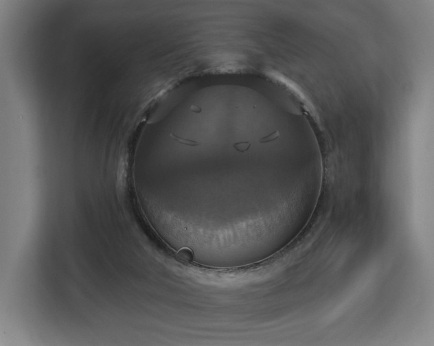 X0000112910018200908311246